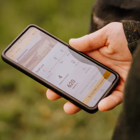 Farmer holding mobile farm with software app