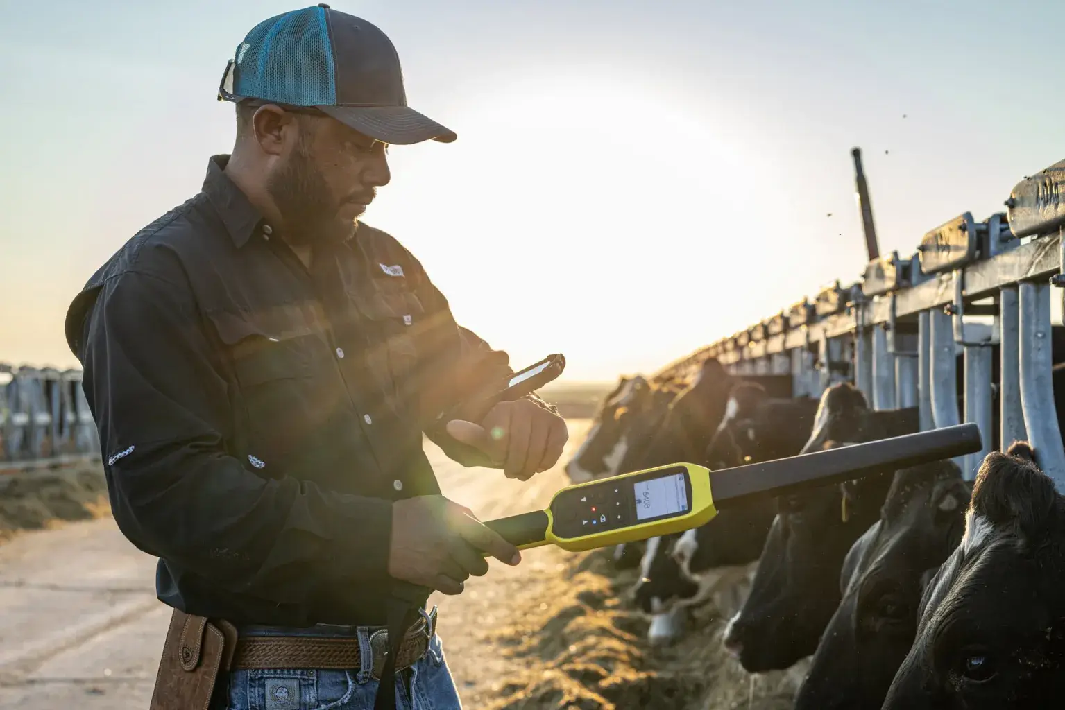 Tru-Test Dairy Drafter